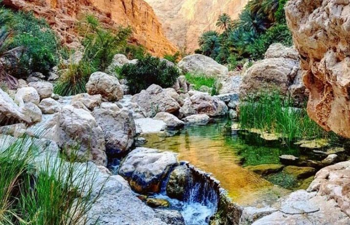 Wadi Shab Tour