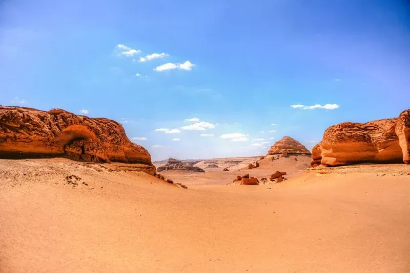 Wadi el Hitan fossili di balene nel deserto egiziano