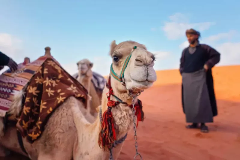 Wadi Rum, paesaggio desertico con tende beduine e cielo stellato.