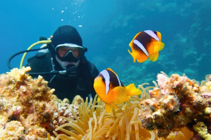 mare cristallino Berenice Egitto costa sud
