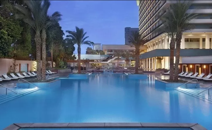 Nile Ritz Carlton Pool
