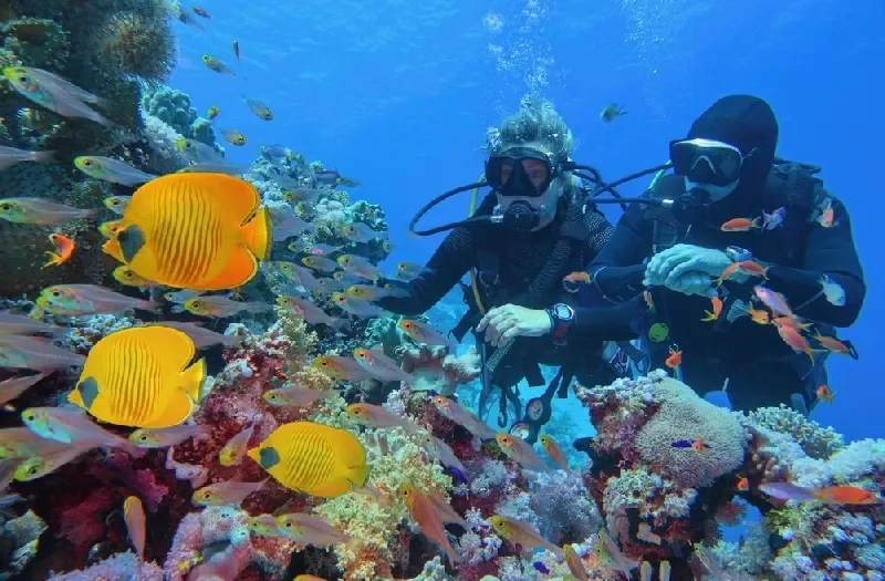 Periodo Migliore per Andare a Marsa Alam: Escursioni nel Deserto e Natura