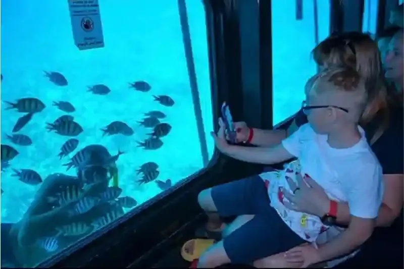 Mar Rosso: coralli e pesci dal sottomarino giallo Marsa Alam