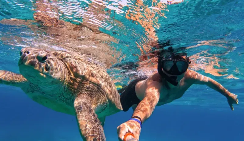 Snorkeling tra tartarughe marine ad Abu Dabbab, Mar Rosso