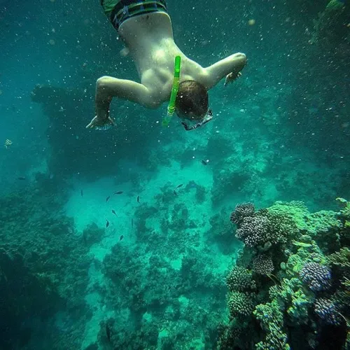 Escursioni Marsa Alam in italiano a Prezzi Speciali