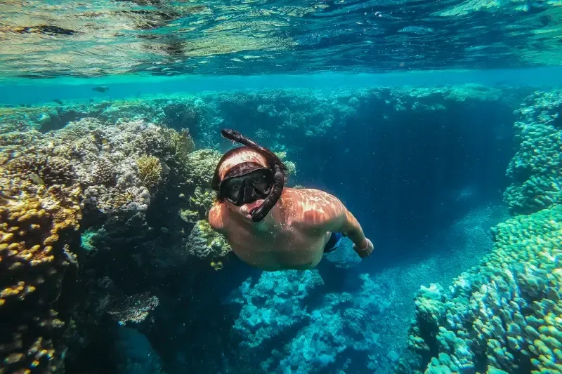 Mar Rosso Snorkeling tra Pesci Tropicali e Barriera Corallina in Egitto