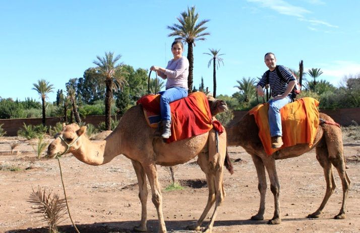 Excursion chameau Marrakech