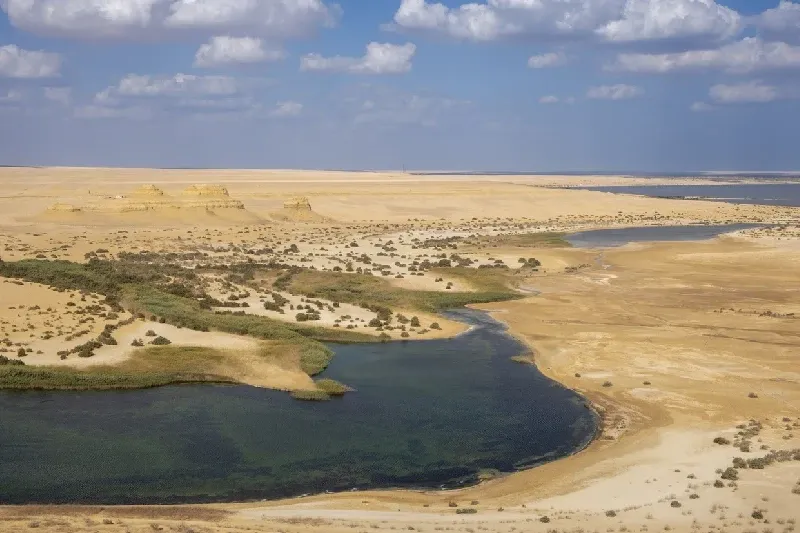 Guide locali che spiegano i siti archeologici dell’oasi di Fayum.