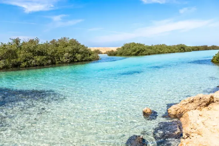 Mare turchese del Parco Nazionale Ras Mohammed