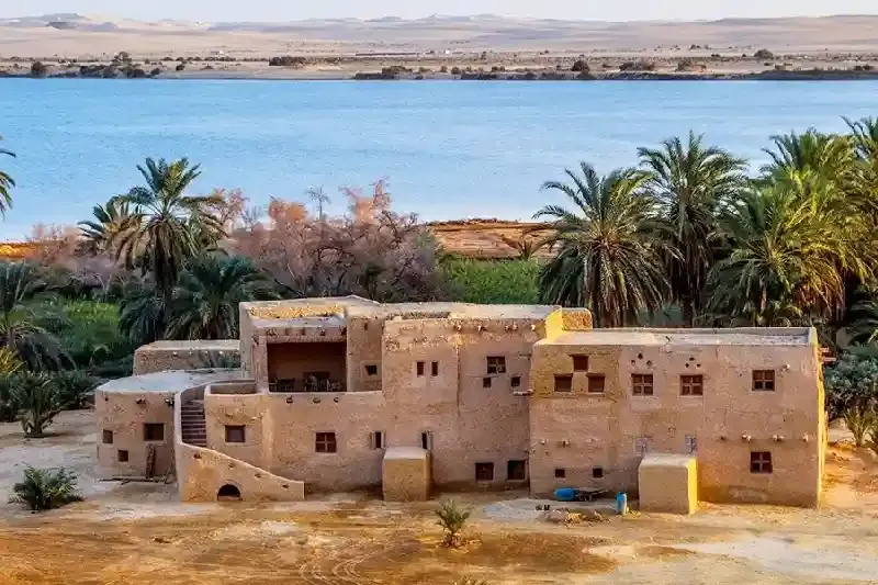 Oasi di Bahariya Egitto palmeti, sorgenti e villaggi
