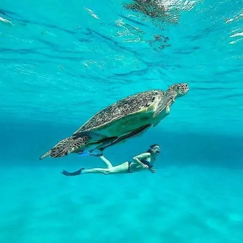 Avventura indimenticabile di snorkeling a Porto Ghalib