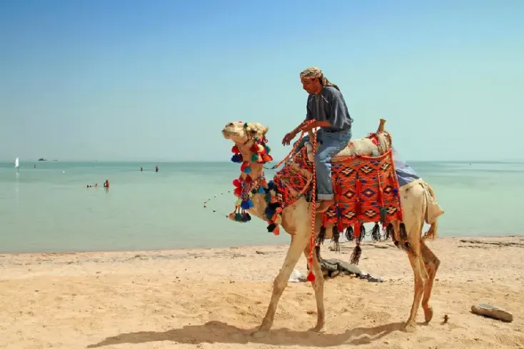 Agosto in Egitto Offerte 2026: Piramidi, Crociera sul Nilo e Relax al Mar Rosso