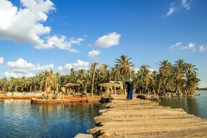 Esperienza unica nel cuore del Sahara egiziano