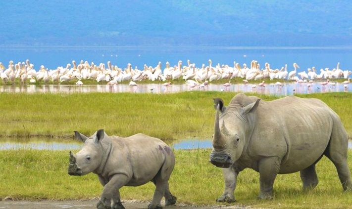 Lake Nakuru National Park