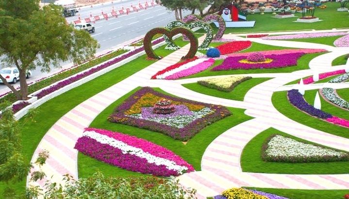 Al Ain Oasis Visit