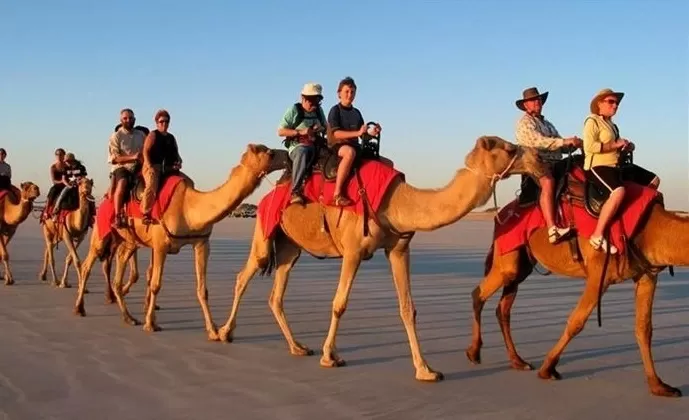 Hurghada Camel Ride 