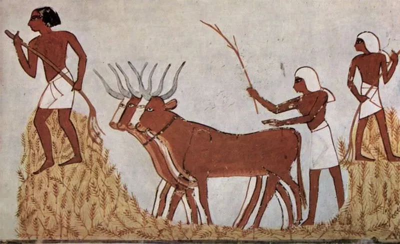 Unveil Egypt’s Social Pyramid: Pharaoh to Farmer