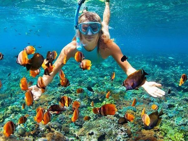 Dive into Egypt’s Red Sea Paradise!