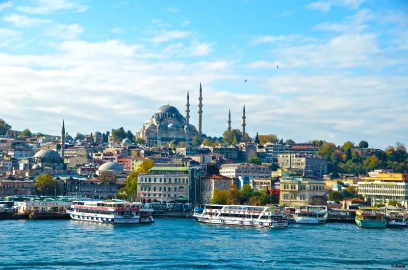 Crucero por el Bósforo en Estambul con vistas a palacio