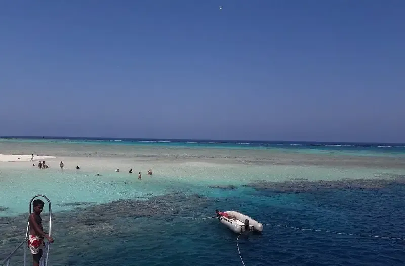 Cosa Fare a Marsa Alam Organizzando Un Itinerario Tra Mare Deserto e Natura