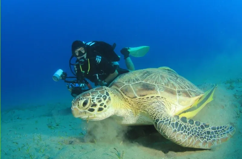 Sharm El Sheikh è sicura e Cose da Evitare Durante Una Vacanza