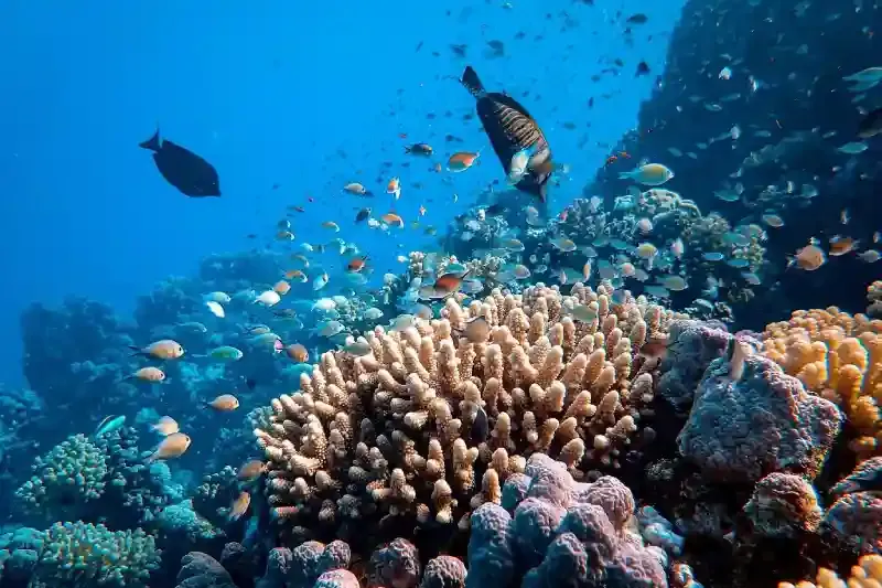 Tour culturali da Hurghada all’antico Egitto