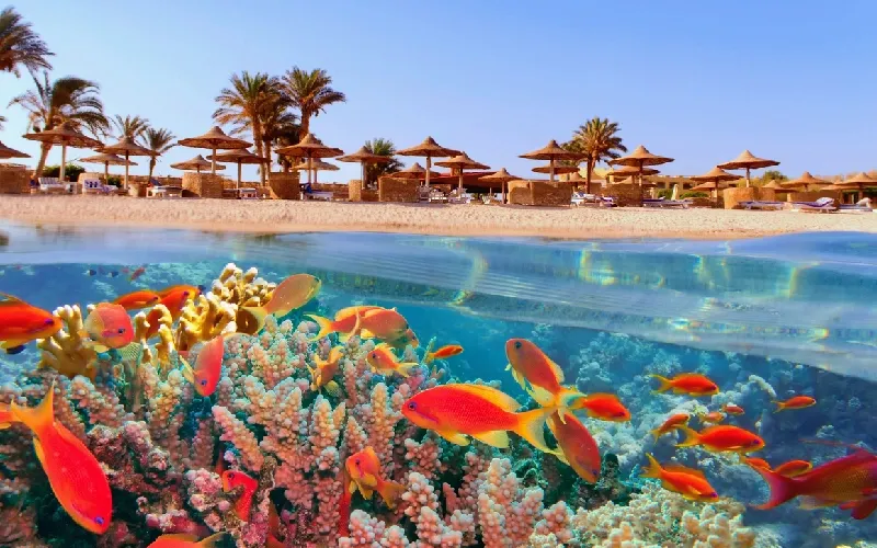 mer Rouge à Hurghada 