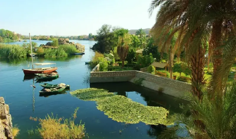 Assuan cosa vedere: l’Isola Kitchener e i suoi giardini botanici