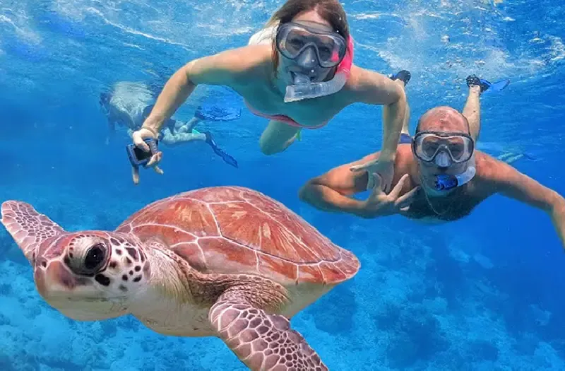 Sharm El Sheikh è sicura Durante Una Vacanza tra Mare Escursioni e Resort