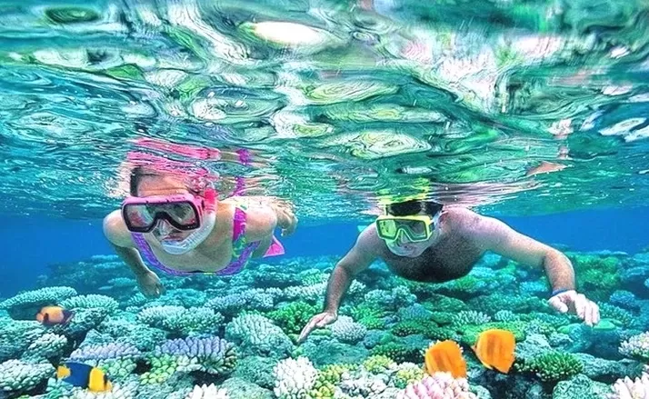 Aqaba Snorkeling