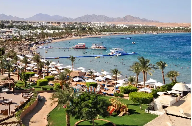 Cosa Fare a Marsa Alam Con Snorkeling Ad Abu Dabbab