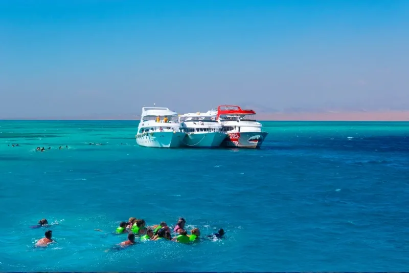Come Scegliere Un Hotel Nel Mare Di Sharm El Sheikh Tra Spiaggia Reef E Servizi