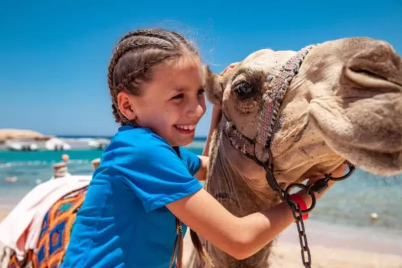 Vacanza in Egitto ad agosto tra mare cristallino e spiagge del Mar Rosso.