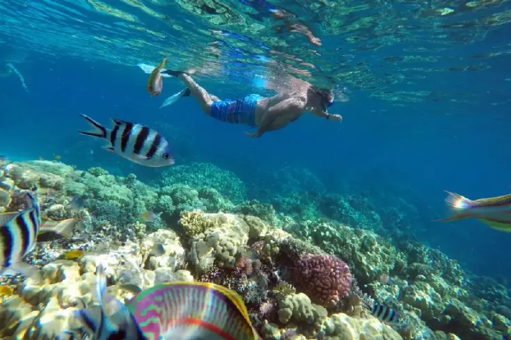 Snorkeling Mar Rosso:  Coralli e Pesci colorati a Orange Bay Hurghada