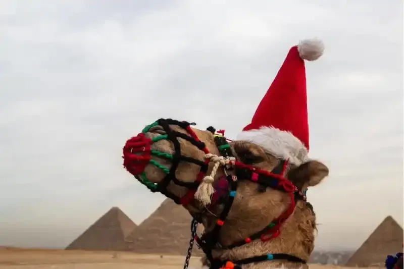 Clima e Temperature in Egitto a Natale – Dove Andare tra Cairo, Crociera sul Nilo e Mar Rosso Clima e Temperature in Egitto a Natale – Dove Andare tra Cairo, Crociera sul Nilo e Mar Rosso