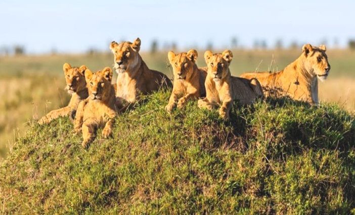 Tour Tanzanie