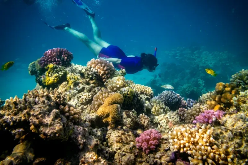 Natale a Sharm el Sheikh in un Resort All Inclusive sul Mar Rosso