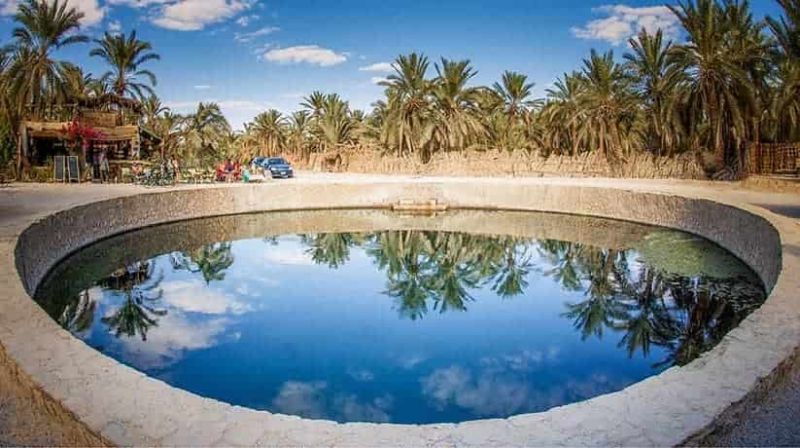 Siwa Oasis : palmeraie et vieille ville de terre crue dans le desert occidental egyptien