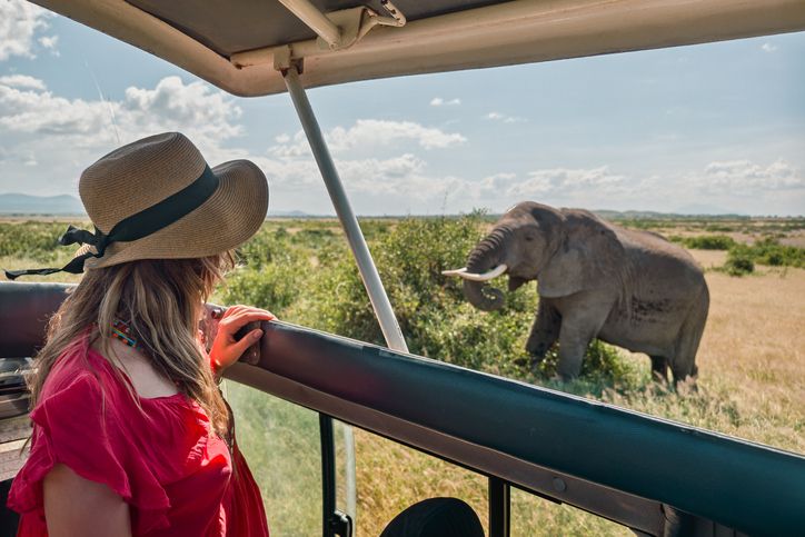Safari Afrique Kenya