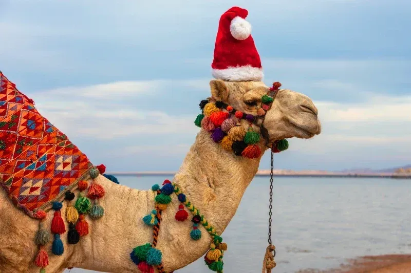 Atmosfera tradizionale del Natale copto in Egitto a gennaio.