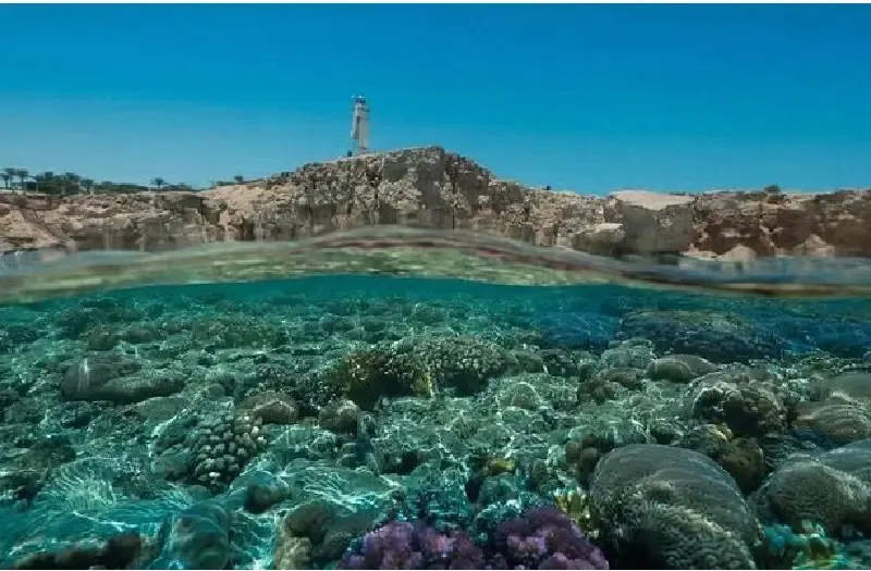 Mare Di Sharm El Sheikh Agli Stretti Di Tiran Tra Barca E Barriera Corallina