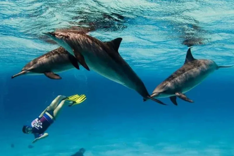 Dove andare a Marsa Alam tra spiagge e baie spettacolari