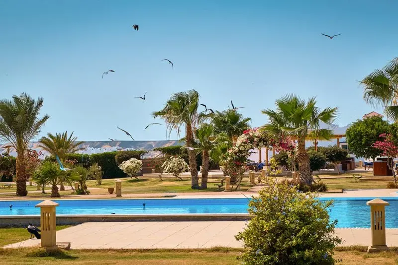 Relax su spiagge isolate di Berenice Egitto