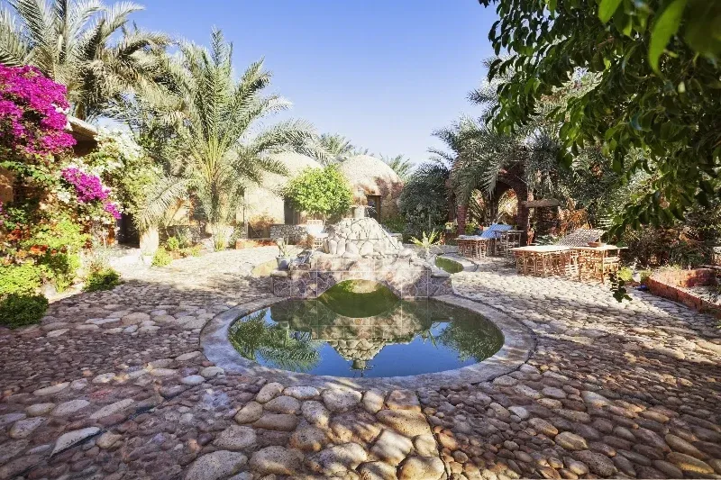 Panorama naturale dell’Oasi di Siwa in Egitto