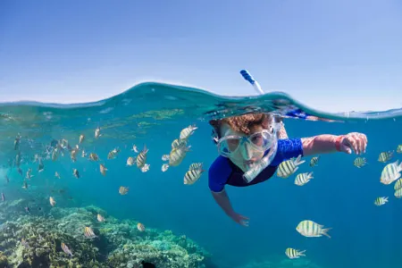 Sharm el Sheikh cosa vedere: mare, snorkeling e escursioni 2026