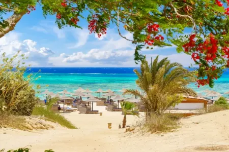 Spiaggia sul Mar Rosso in Egitto in estate con mare cristallino
