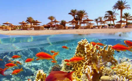  Mar Rosso in Egitto con Barriera Corallina, Acque Cristalline e Spiagge Tropicali