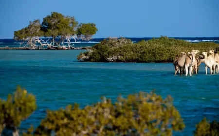 Panorama del Mar Rosso a Marsa Alam