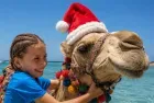 Capodanno in Egitto Dove Andare: Guida Completa alle Migliori Mete