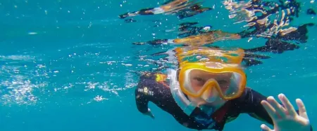 Snorkeling In Salalah